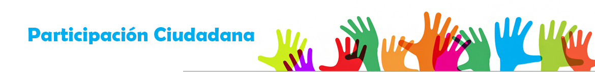 participacion ciudadana