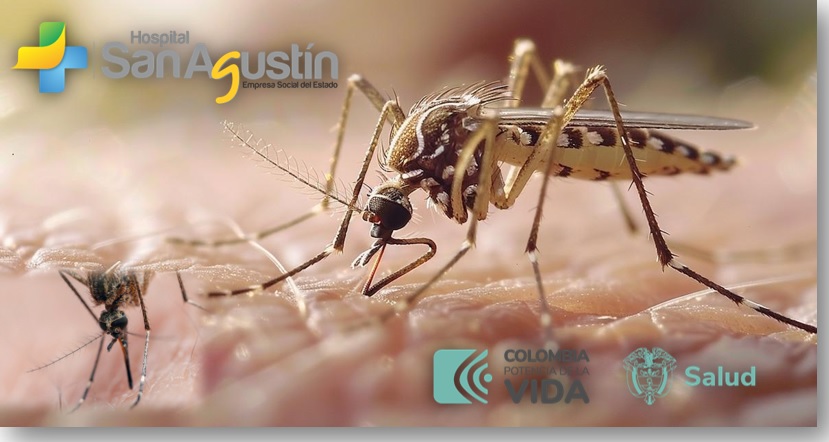 #LuchemosContraElDengue 👊 Revisa diariamente tu vivienda, especialmente después de la lluvia, para evitar la reproducción de mosquitos y protegerte a ti y a tu comunidad del dengue.  ¡Pa’ fuera! el mosquito del dengue en #Fonseca 🦟🚫🔗
